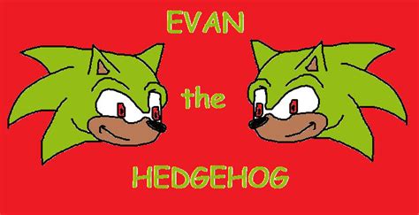 evan the hedgehog fanfiction